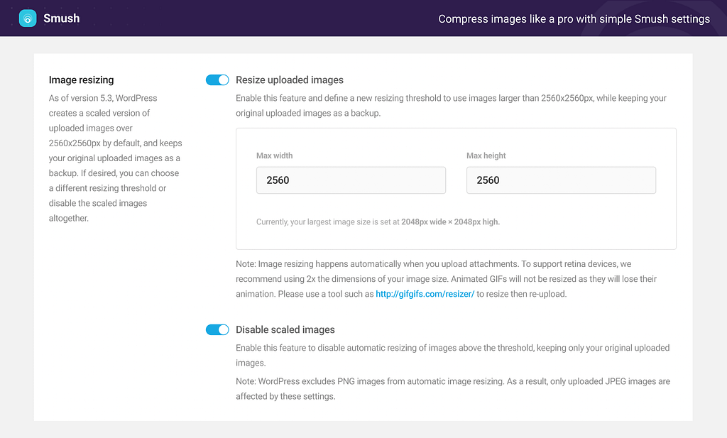 top-10-must-have-wordpress-plugins-Smush-3