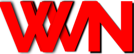 this is Logo Image for Google and this is the website domain name worldwebnews.in