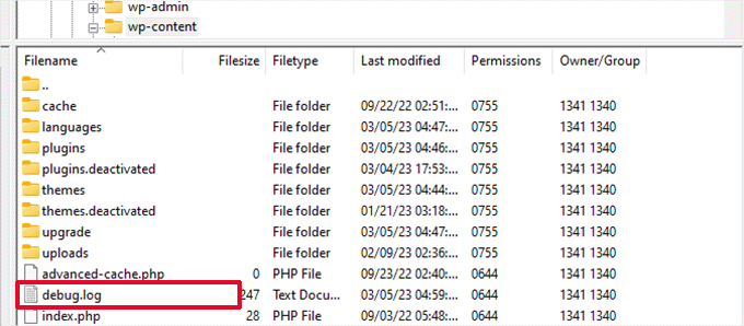 Fix-the-Internal-Server-Error-in-WordPress-debugging