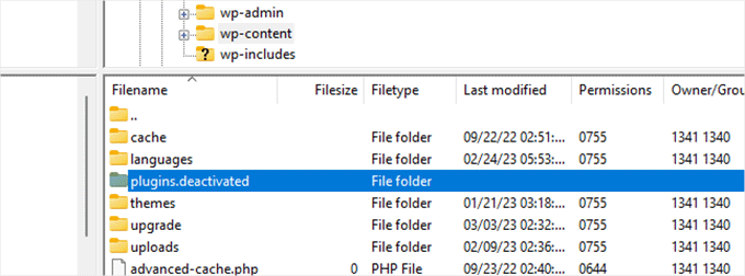 Fix-the-Internal-Server-Error-in-WordPress-deactivate-all-plugins-folder-name-change